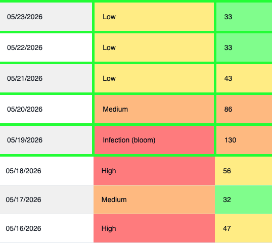 Color-coded fire blight risk table listing daily infection risk levels and degree-hour values from May 16&ndash;23, 2026. Risk levels range from low to high, with May 19 highlighted as &ldquo;Infection (bloom)&rdquo; and showing the highest value of 130. Cells are shaded green, yellow, orange, and red to indicate increasing levels of infection risk.